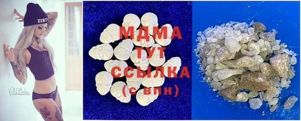 индика Алексин